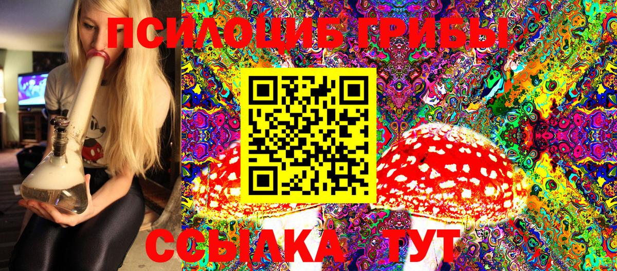 Псилоцибиновые грибы Psilocybe Асбест